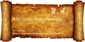 Mészáros Aminta névjegykártya